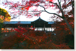 東福寺：通天橋・紅葉の名所